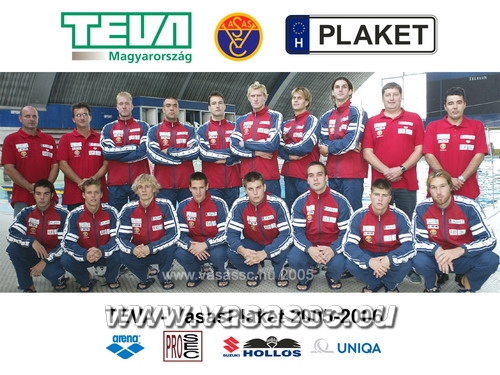 TEVA_VasasPlaket_2005_1024.jpg